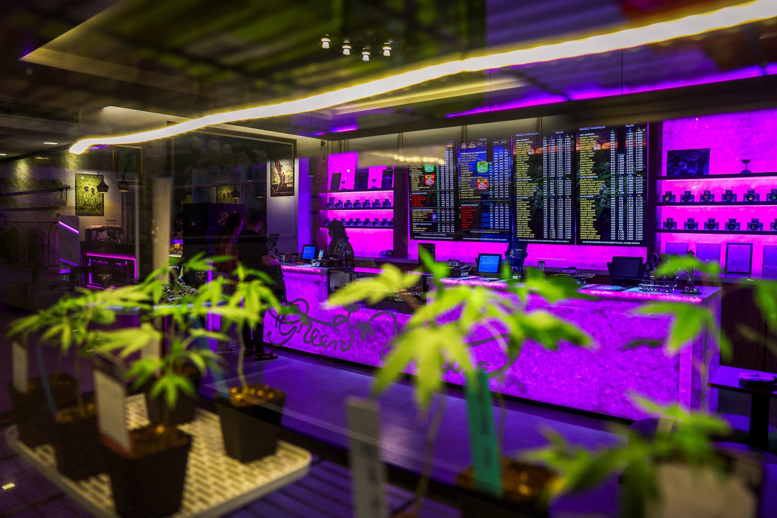 La revisión advierte que muchos productos de cannabis vendidos en comercios no cumplen con controles de calidad ni regulaciones médicas/Archivo REUTERS/Chalinee Thirasupa