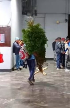 (TikTok / @osvaldo.navarro16)