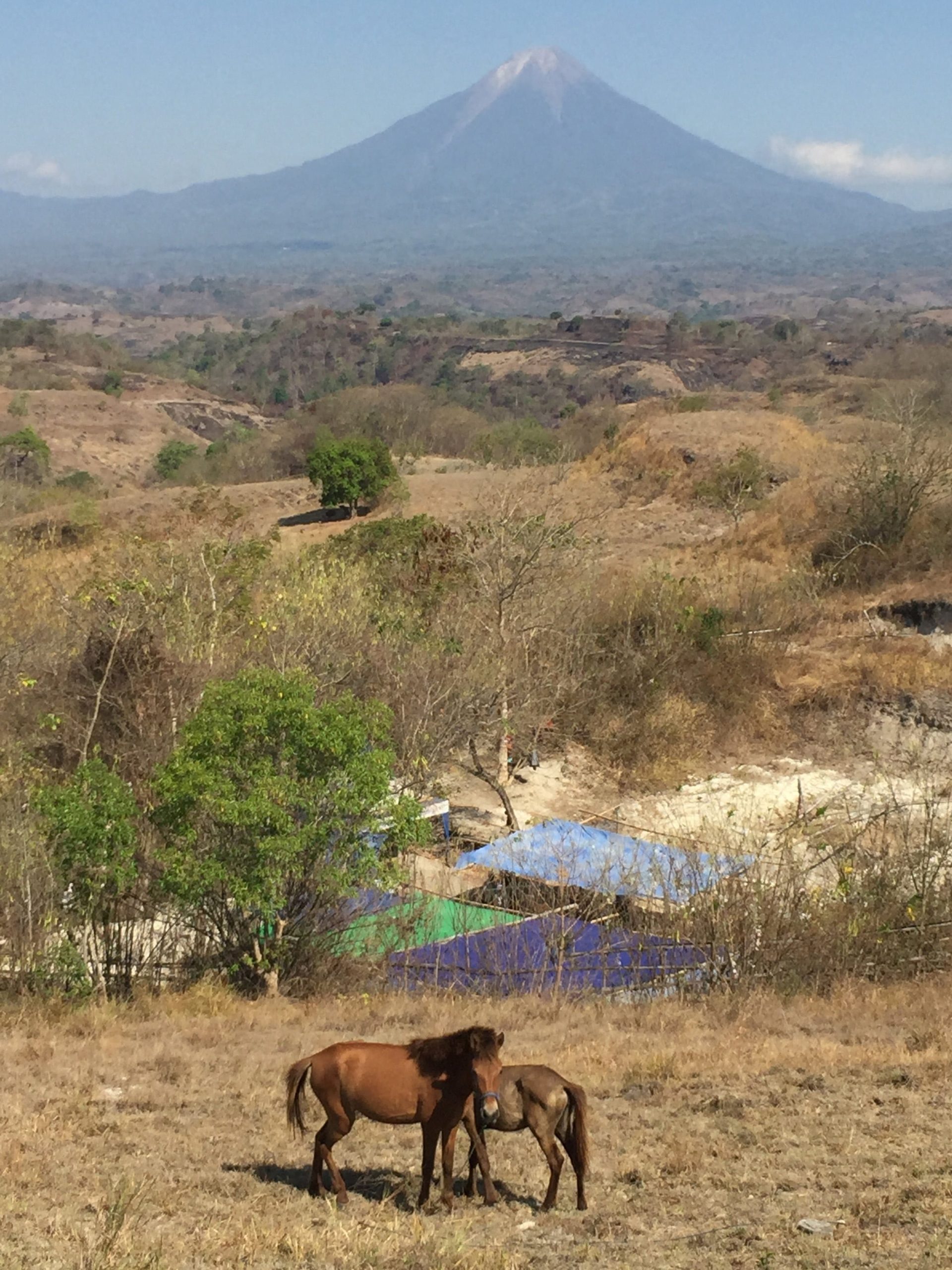 La reducción de recursos hídricos y alimenticios en Flores marcó el destino de Homo floresiensis y Stegodon, afectando su supervivencia en el entorno insular (Gerrit van den Bergh/Handout via REUTERS)