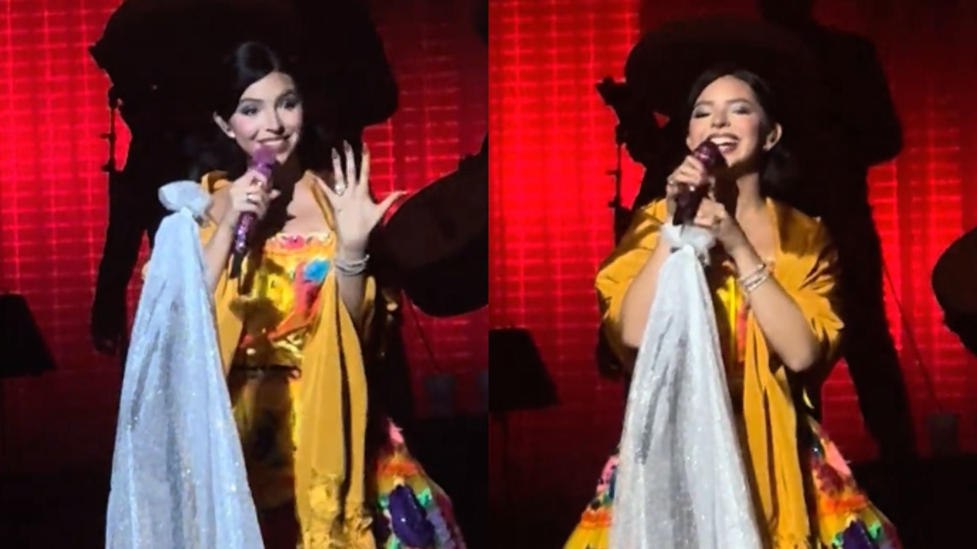 La cantante ha sido criticada tras confirmar una posible gira en 2026, según especulan usuarios.