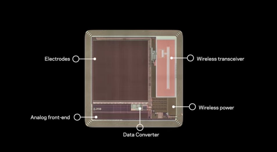 Crean chip ultradelgado que permite conectar al cerebro con una computadora.