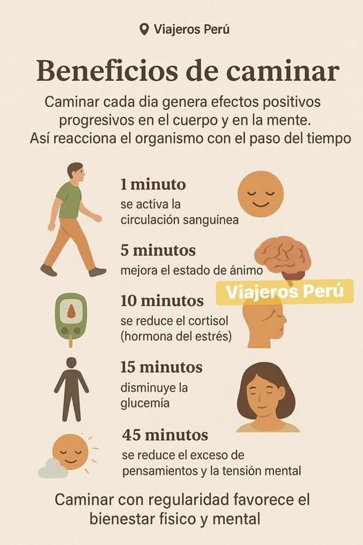 Caminar es una de las formas más simples y accesibles de combatir el sedentarismo y el estrés diario. No requiere equipo especial y puede practicarse a cualquier edad, con beneficios para la salud que comienzan a sentirse desde los primeros minutos de actividad