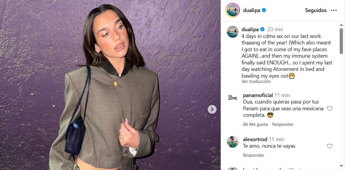 La británica confesó que lleva un día sin salir de su lugar de residencia en México por algunos malestares. (IG Dua Lipa)