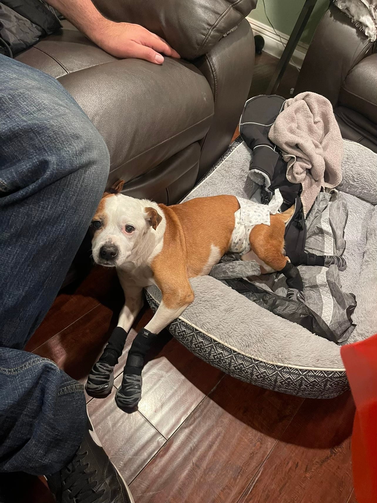 El apoyo inquebrantable de su familia conmovió a miles en TikTok. (TikTok: @.momomichi)