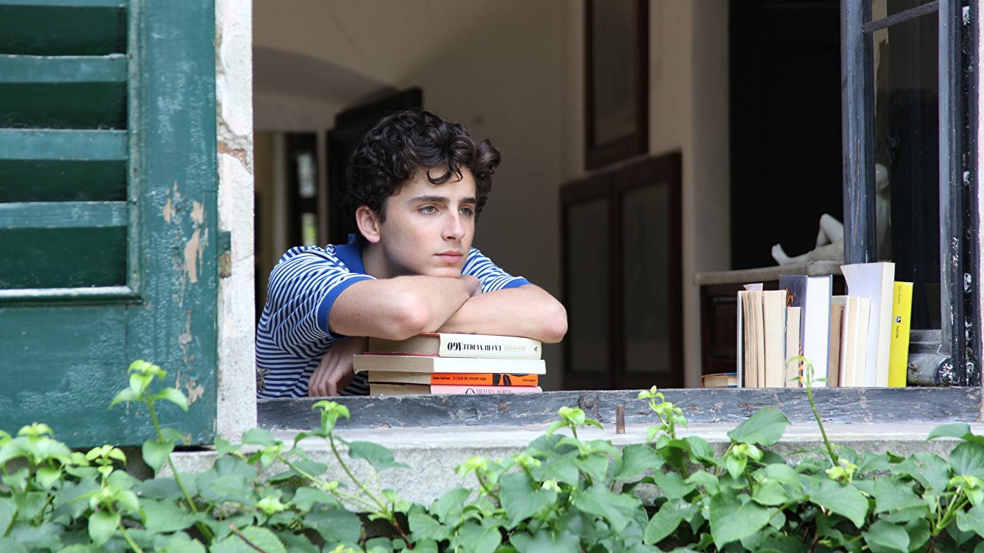 Timothée Chalamet recuerda su experiencia en 'Llámame por tu nombre' junto al director Luca Guadagnino