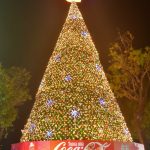 Gigante árbol de 23 metros de altura se iluminó en el Malecón Simón Bolívar