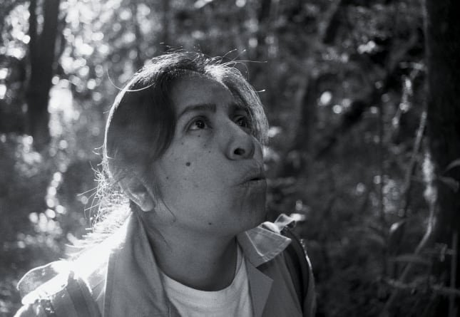 En La Reserva, la amenaza es real: la película que exhibe una extorsión narco por los territorios naturales. (Cortesía)