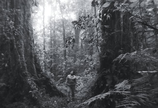 La Reserva, cinta mexicana filmada en Chiapas. (Cortesía)