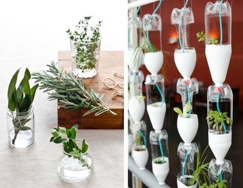 Pequeño jardín vertical instalado en la zona de escaleras de un edificio moderno. Arquitectos y administradores incorporan estructuras modulares para optimizar espacios residuales.