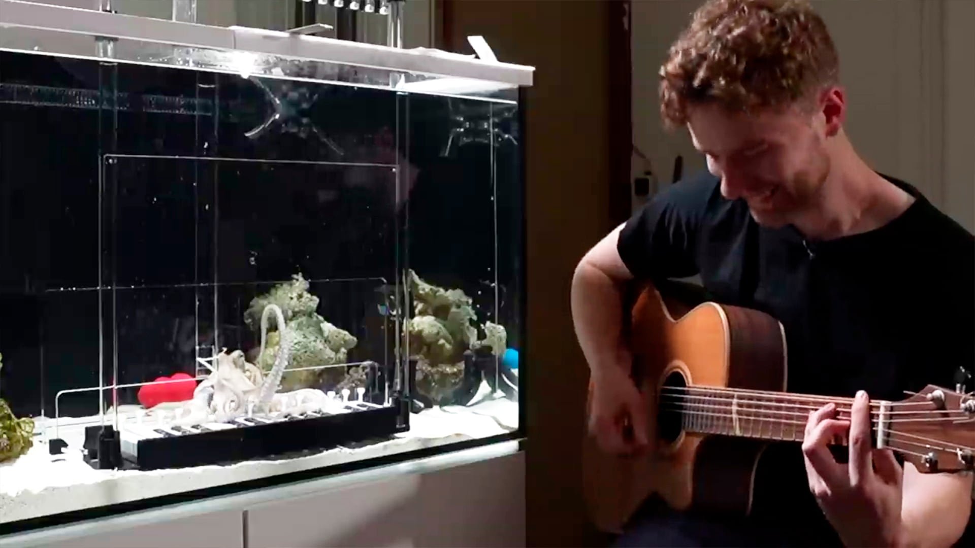 El entrenamiento de Tako en el piano requirió rediseñar teclas y adaptar el instrumento. (YT: Mattias Krantz)