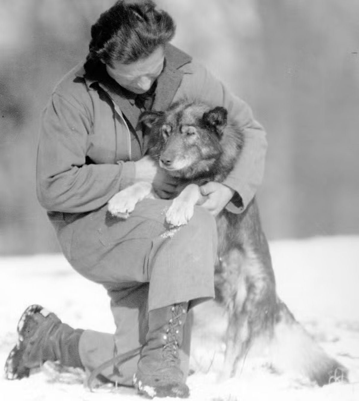 Togo fue considerado inicialmente un perro débil, pero sus actos durante la epidemia transformaron su destino y el de su entrenador, Seppala (Sigrid Seppala Hanks Collection, Carrie M. McLain Memorial Museum)