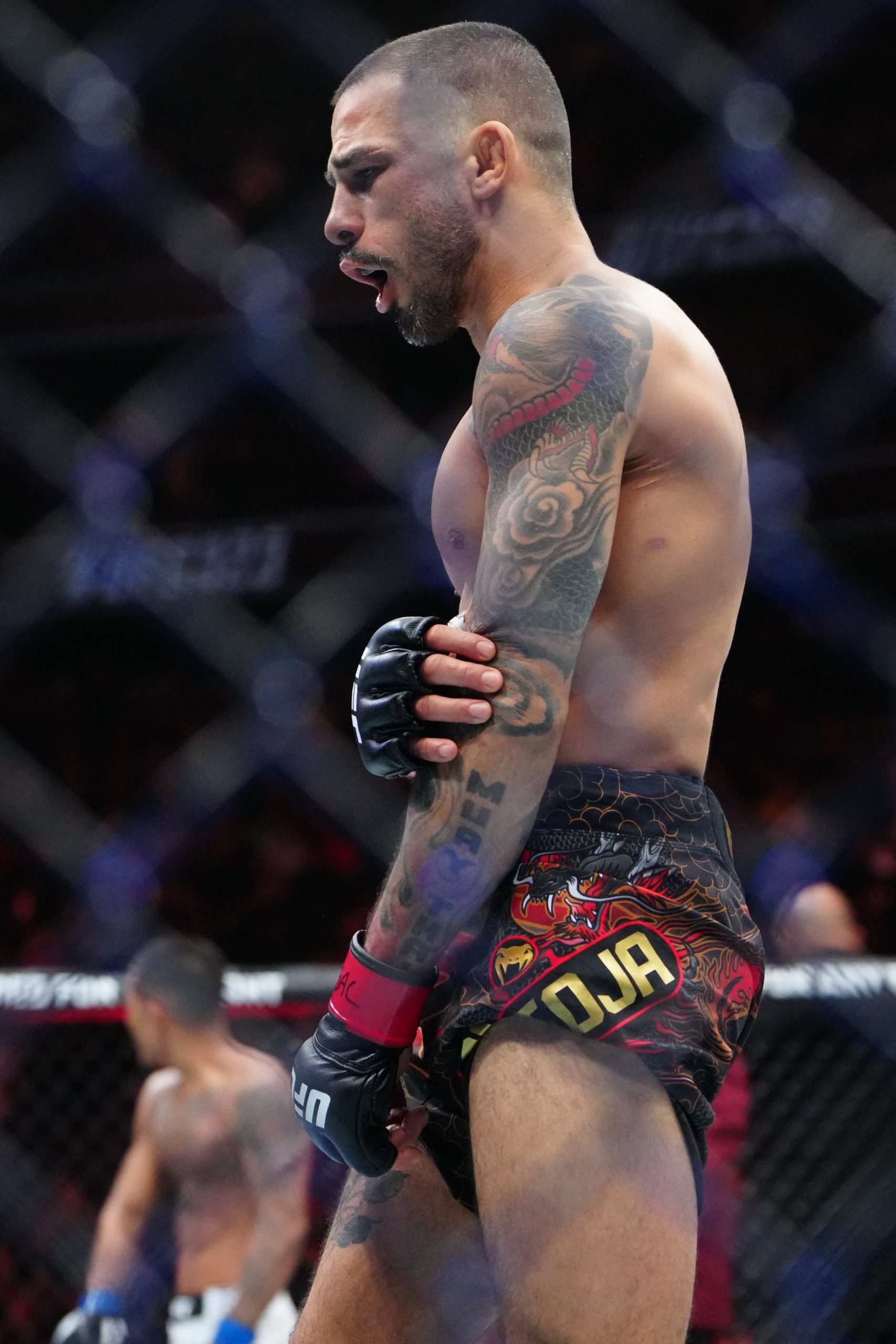 Van aseguró que quiere darle la revancha (Reuters)