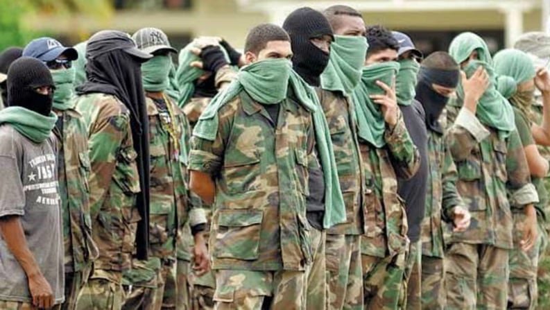 La falta de una hoja de ruta clara favoreció la fragmentación y el crecimiento de organizaciones criminales en Colombia - crédito Captura de Pantalla