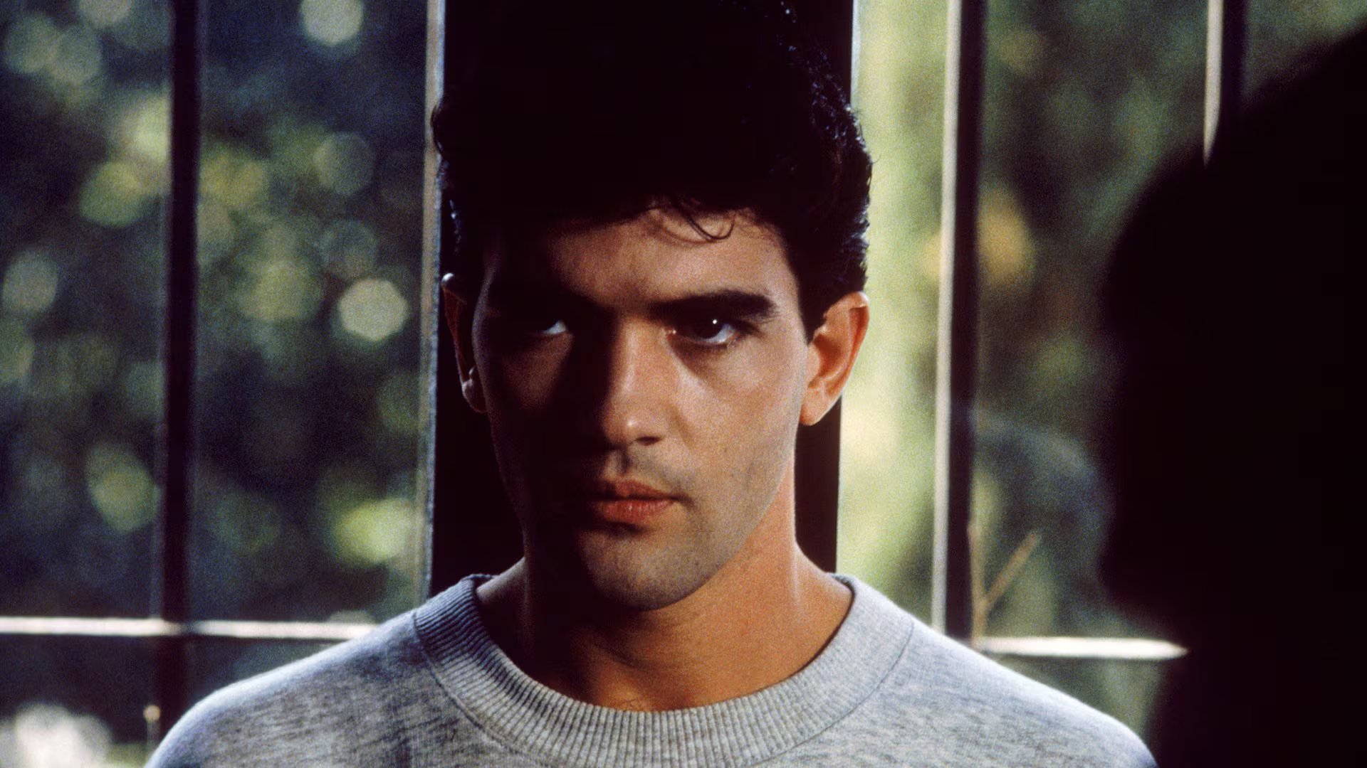 Antonio Banderas confesó que compró un libro para aprender diferentes recetas de papa debido a la falta de dinero para comer (Grosby)