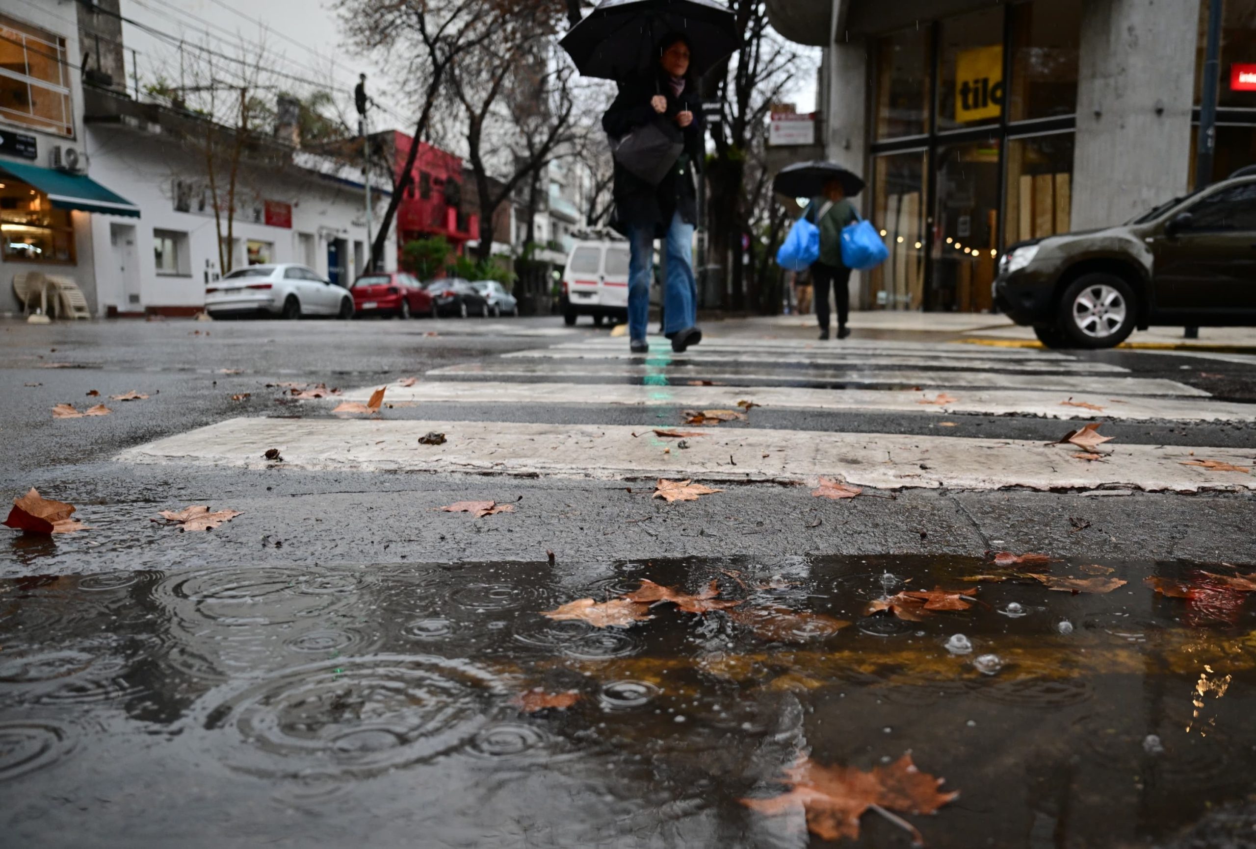 Las pruebas de NeuralGCM muestran una mayor consistencia y menor propensión a errores en la previsión de precipitaciones intensas y ligeras frente a referentes como ERA5 e IPSL (Fotografía: Maximiliano Luna)