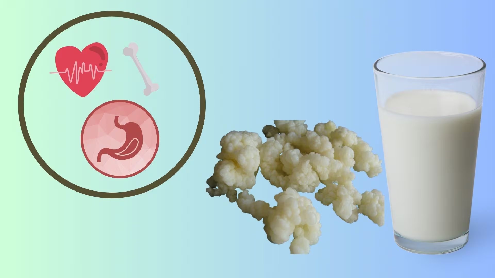 Los búlgaros de leche deben incluirse a la dieta con precaución. (Infobae/Anayeli Tapia)