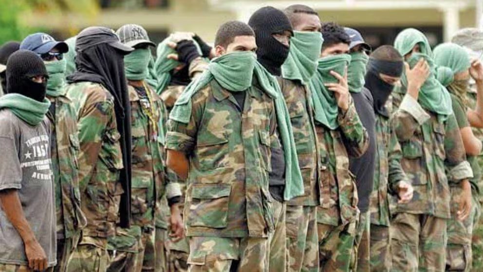 El decomiso de armas y explosivos reduce el riesgo para la población civil y refuerza el control institucional en el nordeste antioqueño - crédito redes sociales