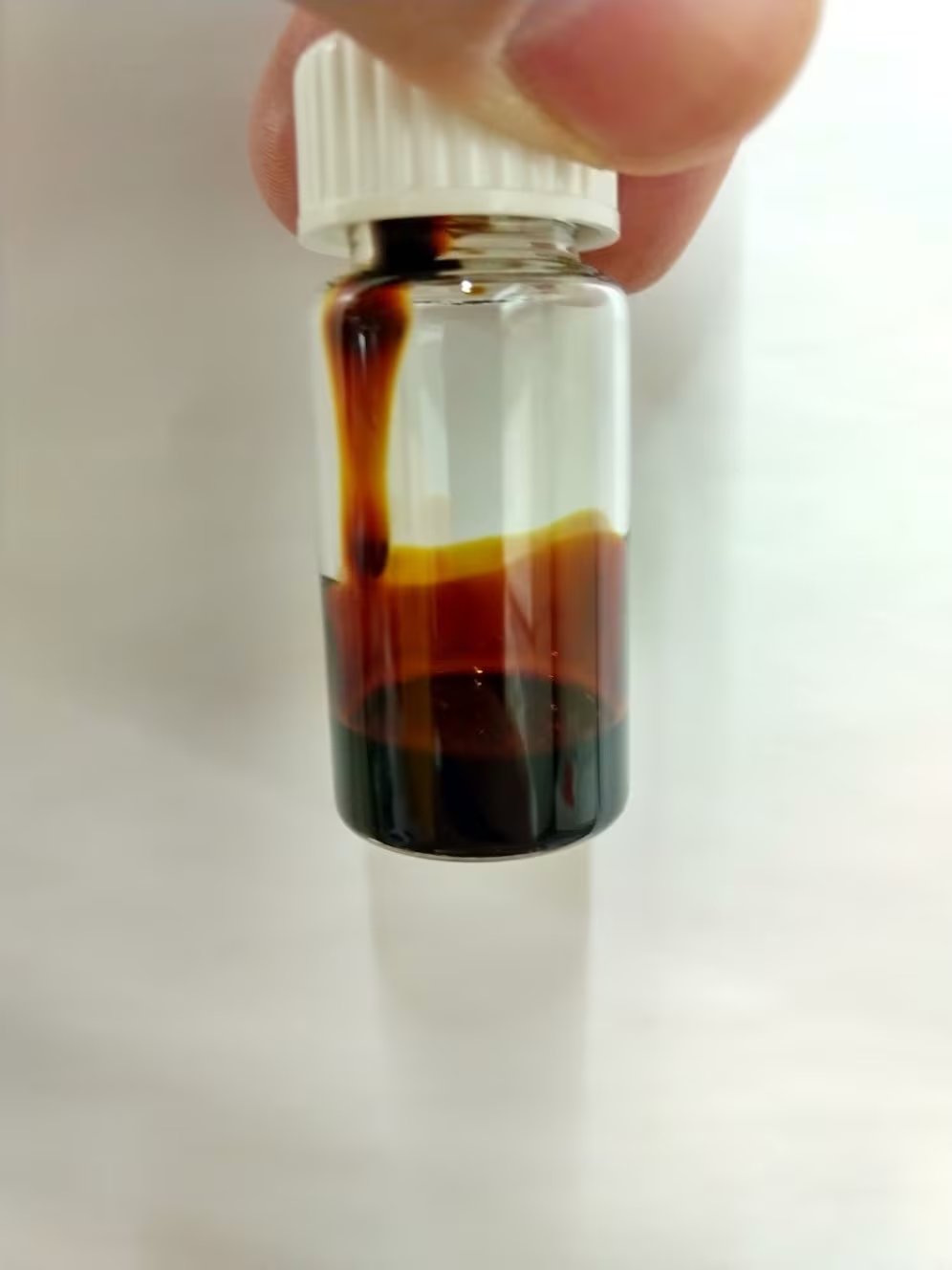 Lograron validar en laboratorio un proceso que convierte la yerba mate usada en bioaceite con potencial comercial (Foto: Martín Palazzolo, Conicet)