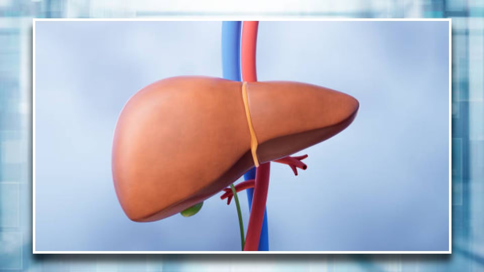 La salud del hígado puede verse comprometida si se usan ciertos productos. Foto: (iStock)