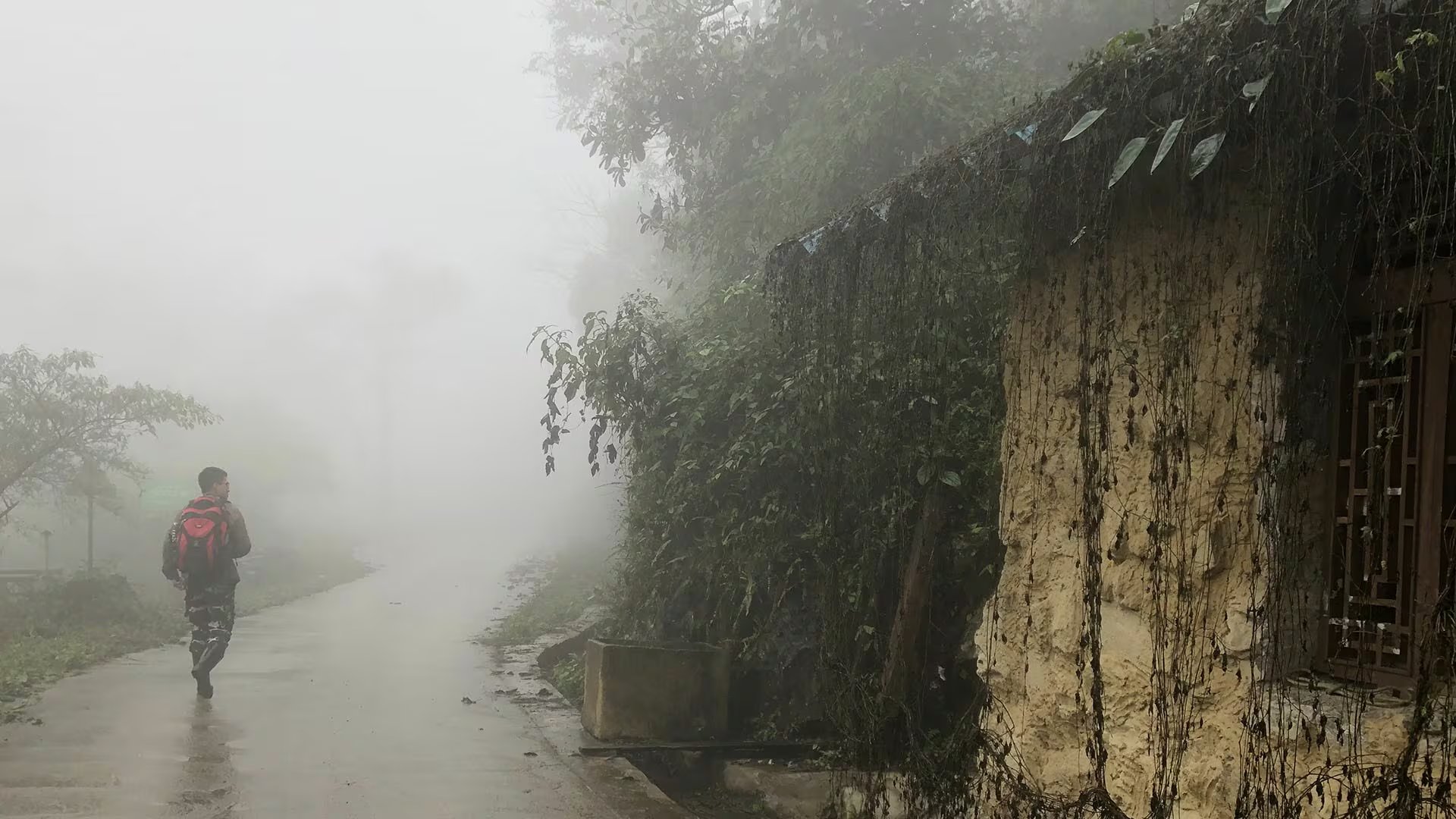 Jing-Yi Lu, científico nacido en Taiwán, lideró el estudio que cambió la visión sobre la evolución floral en la vid de lápiz labial (Chih-Chieh Yu)