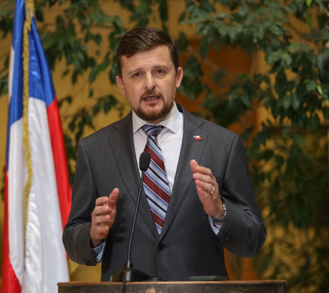 El diputado chileno Stephan Schubert sostuvo que 