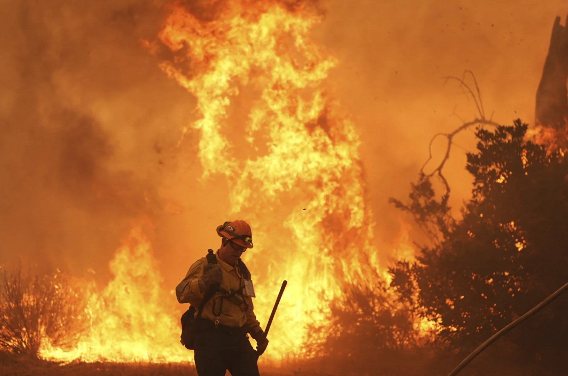 Las olas de calor intensificaron los incendios en Los Ángeles, Grecia, Turquía, entre otras partes del mundo (AP)