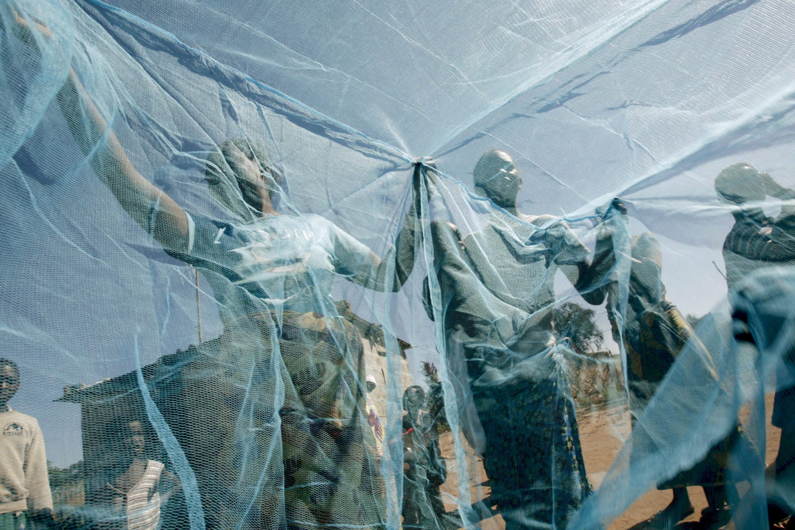 La interrupción persistente de intervenciones sanitarias esenciales representa la principal amenaza para el control de la malaria en África, según los expertos
(EFE/Kim Ludbrook)