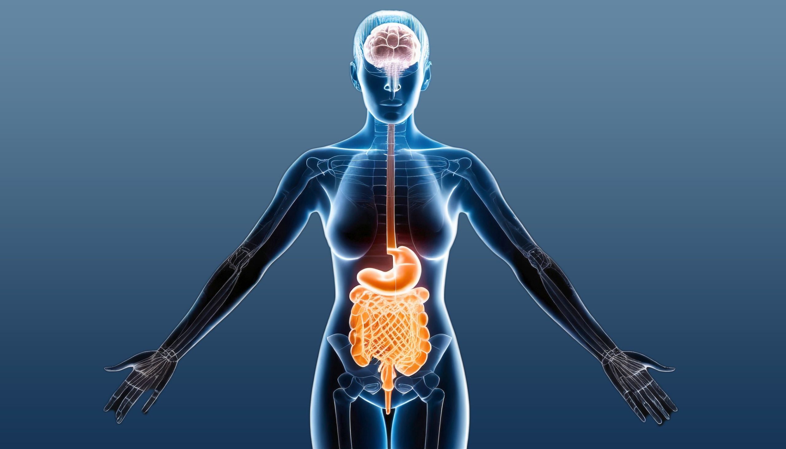 Factores emocionales como el estrés influyen directamente en la digestión y pueden causar síntomas como diarrea o estreñimiento, afirman gastroenterólogos (Imagen Ilustrativa Infobae)