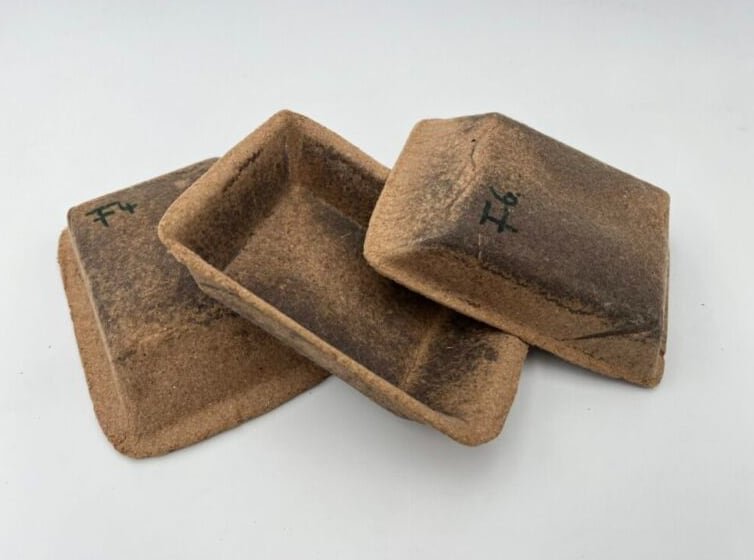 Los nuevos envases, diseñados para preservar alimentos, reflejan el avance de una economía circular y respetuosa con el entorno (SINTEF)