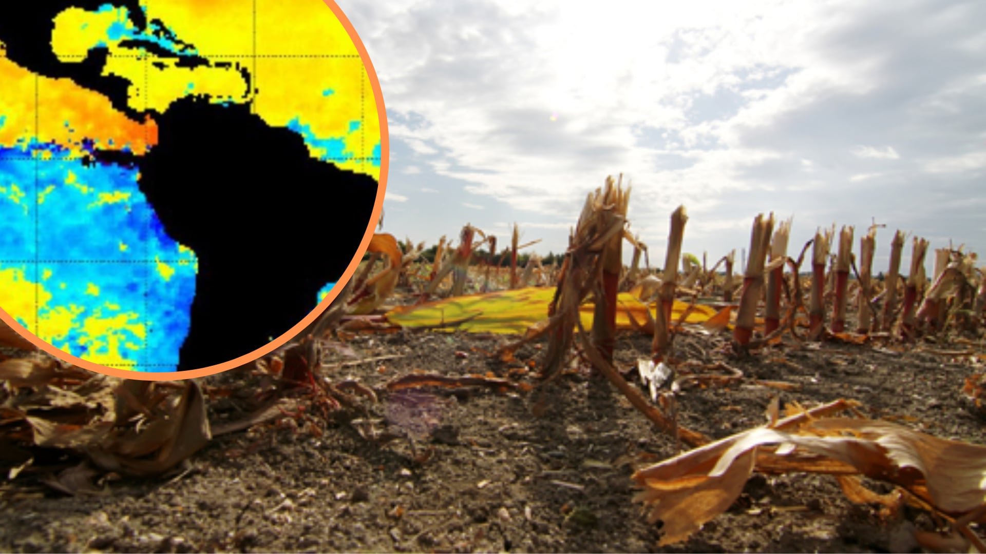 El evento El Niño débil no generaría impactos severos, pero requiere atención y preparación de las autoridades y sectores productivos.