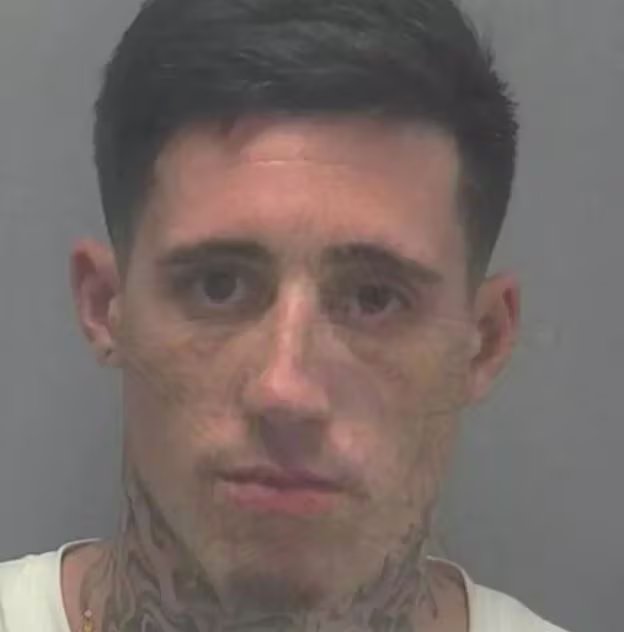 La cobertura mediática y el estreno de una serie documental aumentaron el interés público y el análisis sobre el perfil psicológico de Wilson (Court TV)