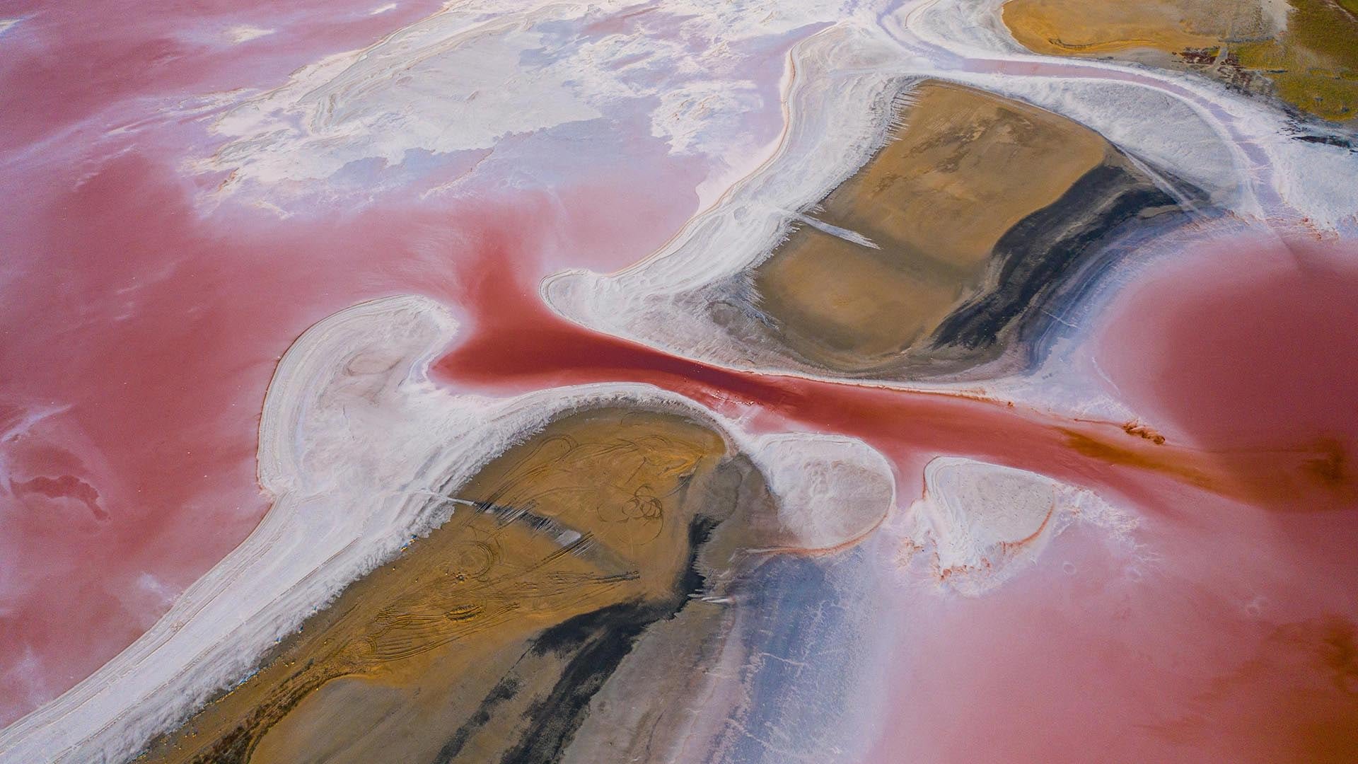 El lago Eyre, conocido también como Kati Thanda, presenta una frontera cromática nítida, resultado de la combinación de salinidad, evaporación y microorganismos halófilos (Artem Yellow/Pexels)