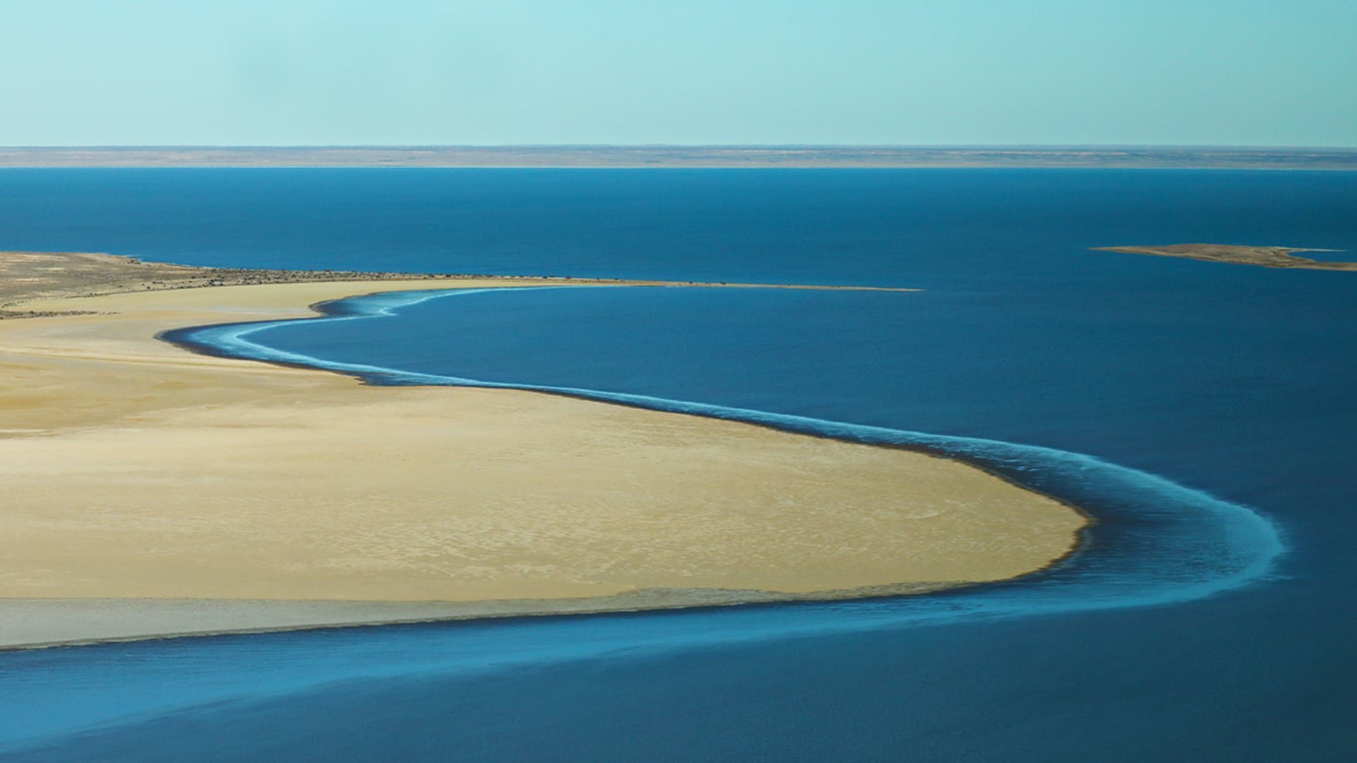 El espectáculo visual del lago Eyre no solo es efímero, sino también testimonio de la interacción entre clima, biología y química en ecosistemas extremos de Australia (Wikimedia Commons)