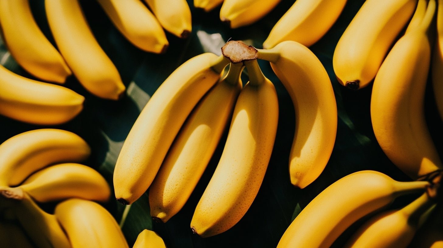 (Imagen Ilustrativa Infobae)