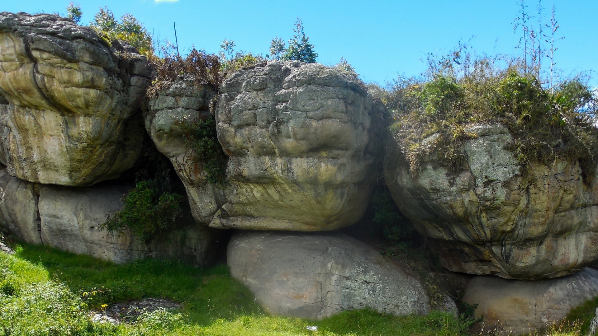 Una vista del sitio arqueológico Tequendama I, donde se hallaron los restos que permitieron recuperar el antiguo genoma de Treponema pallidum analizado en el estudio (Angélica Triana)