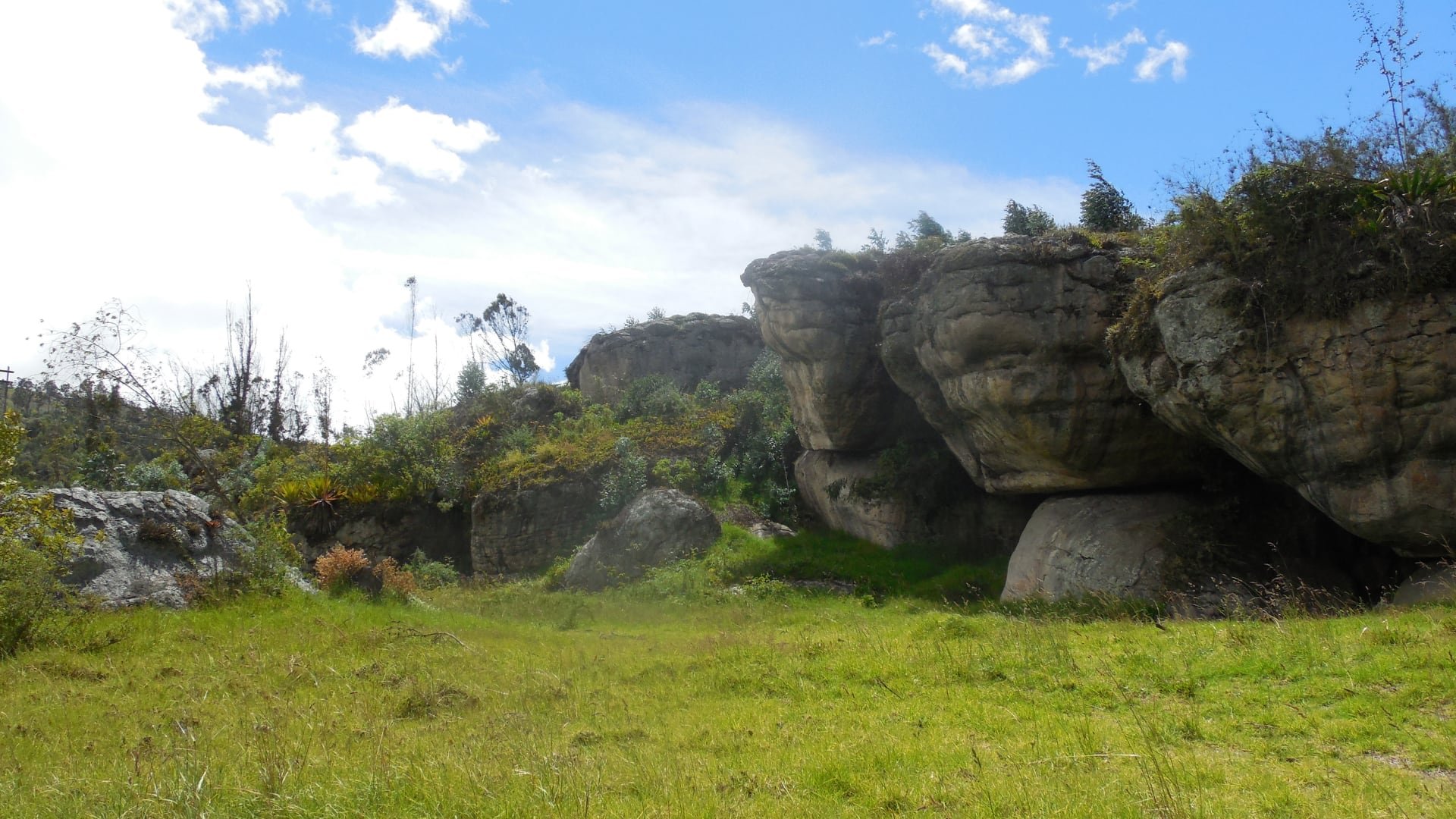 Científicos de universidades de Suiza, Estados Unidos, Francia y Argentina lideraron el descubrimiento sobre la evolución de las treponematosis en América (A. Triana)