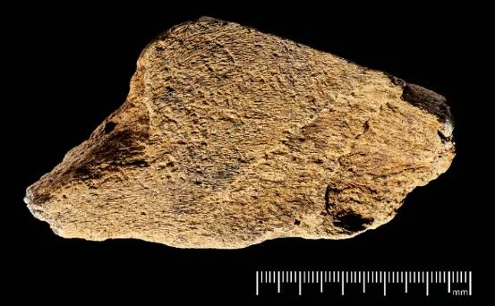 El martillo con 500.000 años de antigüedad. (UCL)
