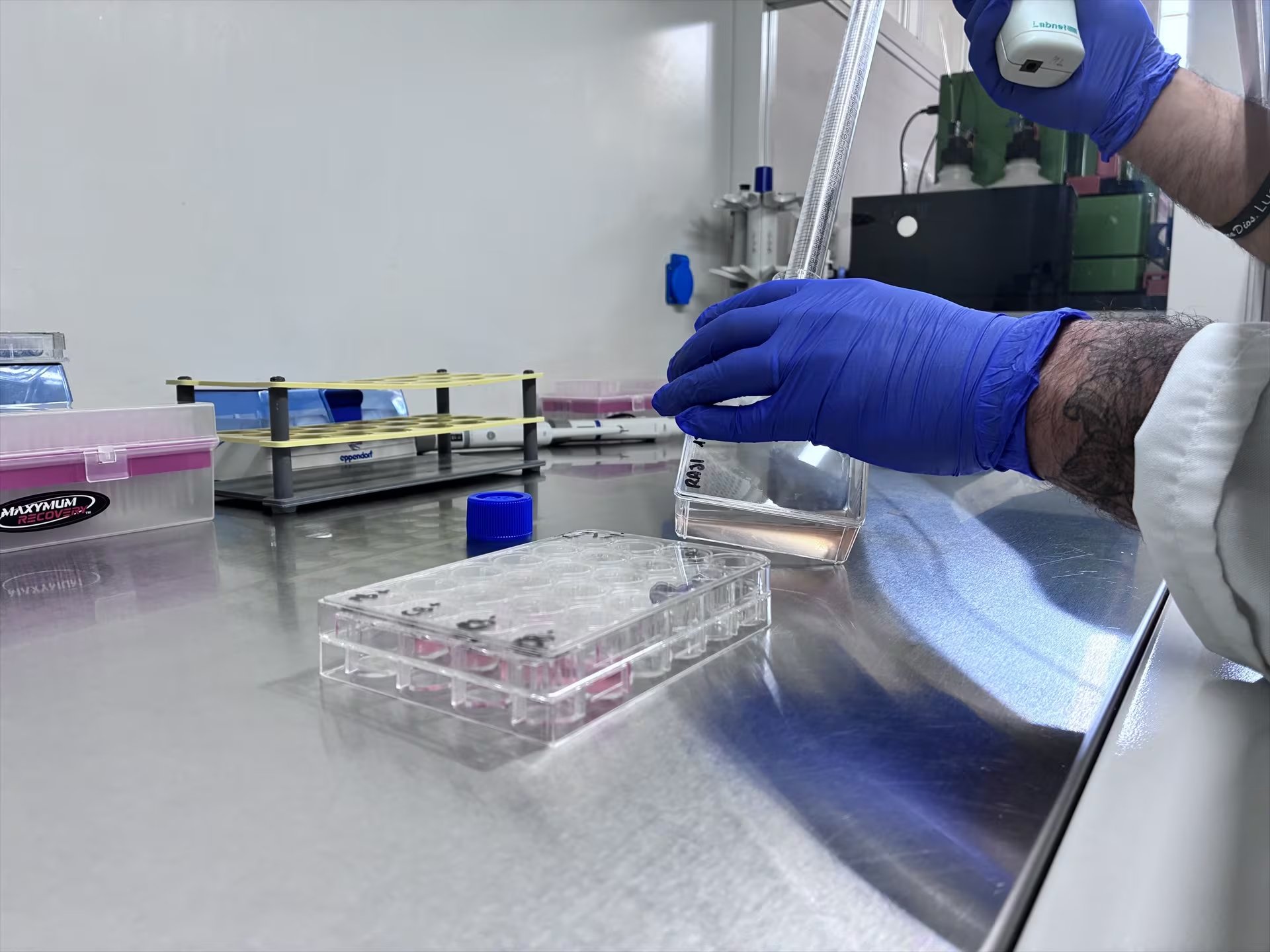 Archivo: Laboratorio de la Unidad de Terapia Celular del Hospital Reina Sofía de Córdoba. (Europa Press)