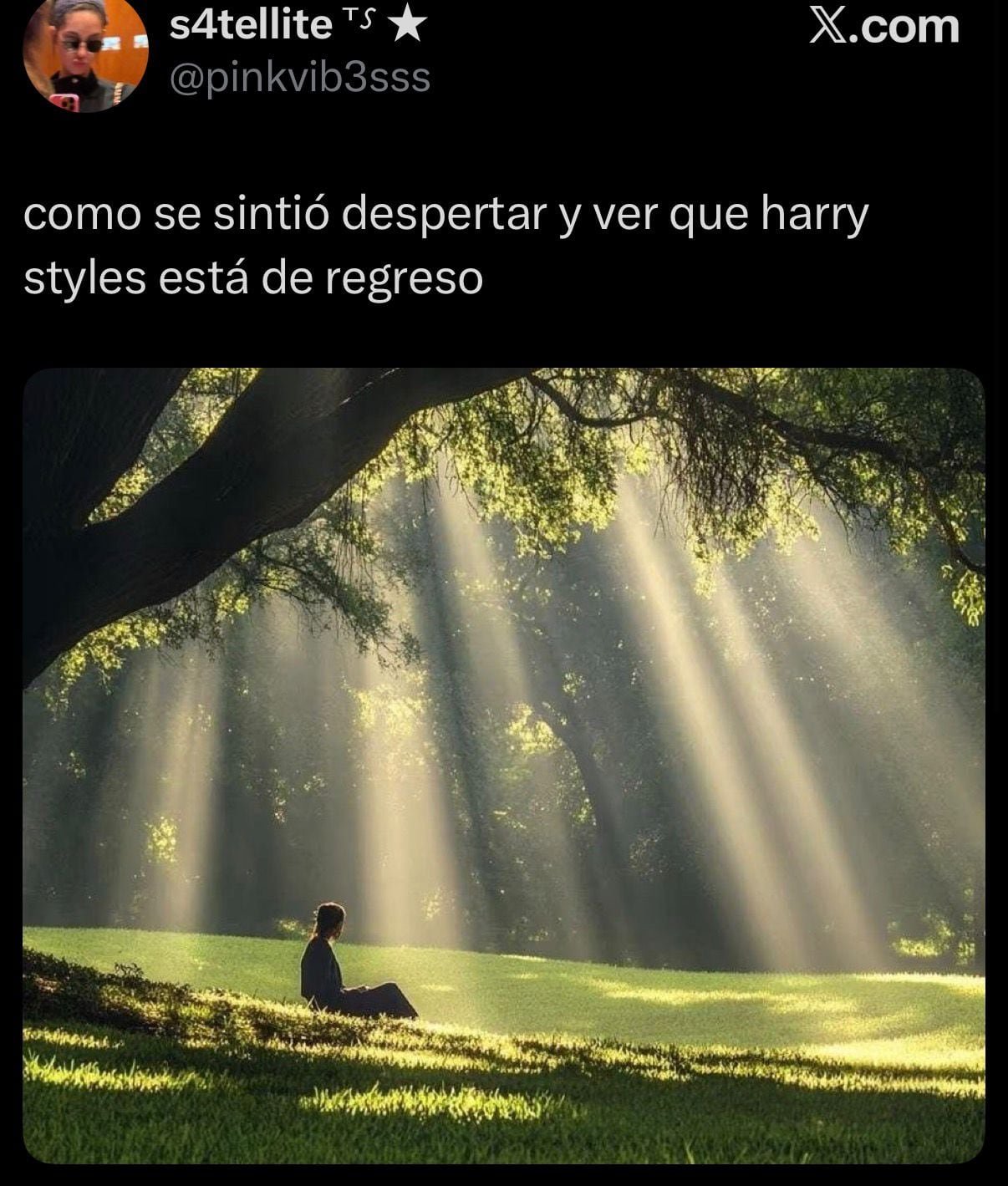 (captura de pantalla)