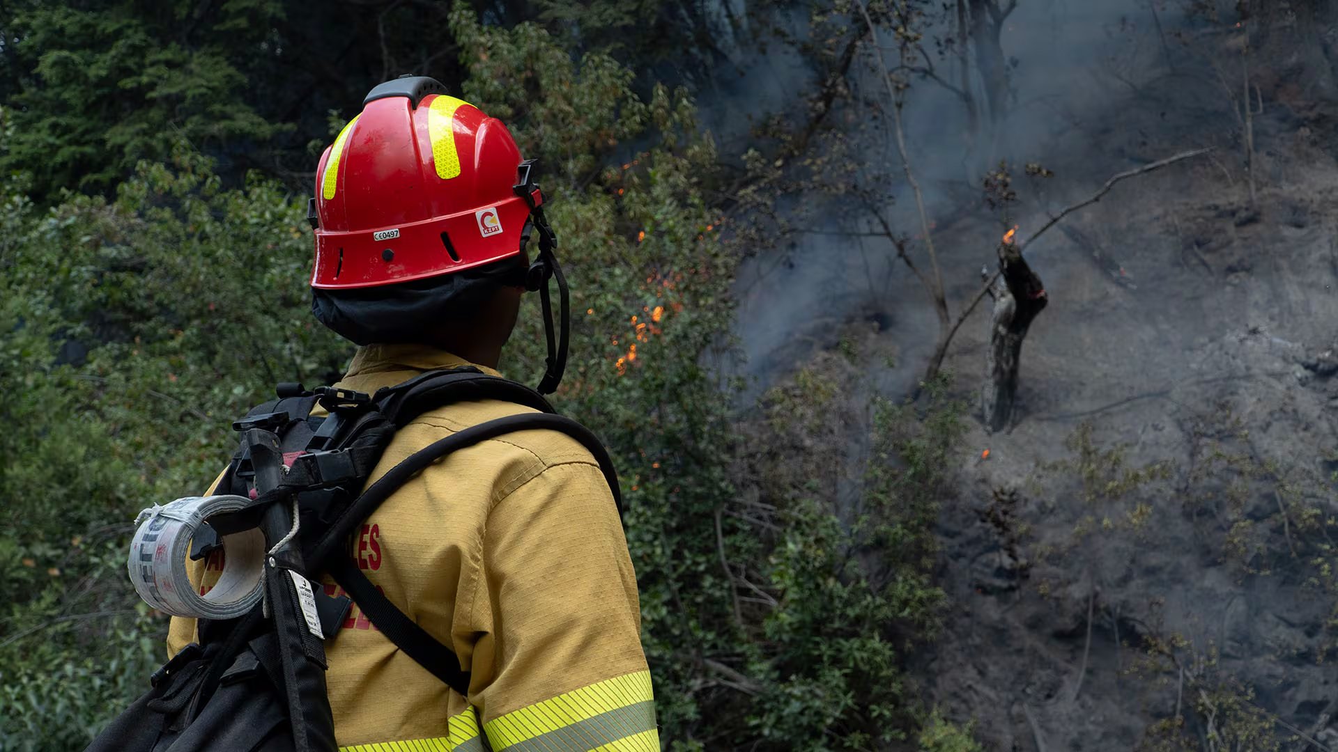 El avance de los incendios forestales en Cholila, Chubut, mantiene en alerta a brigadistas y comunidades locales por la cercanía del fuego a viviendas