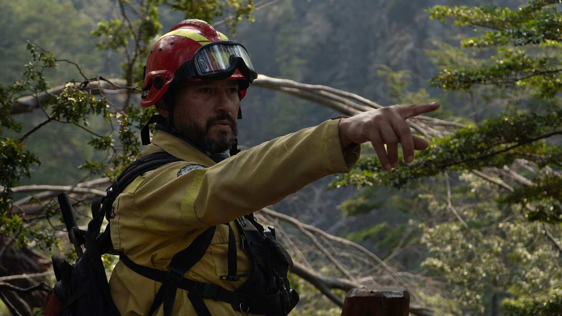 La Dirección de Comunicaciones y Relaciones Institucionales de APN informó que las riendas administrativas y ejecutivas de Los Alerces serán tomadas por un Comité de Intervención que asumirá “transitoriamente las funciones y atribuciones propias de la Intendencia del Parque Nacional”