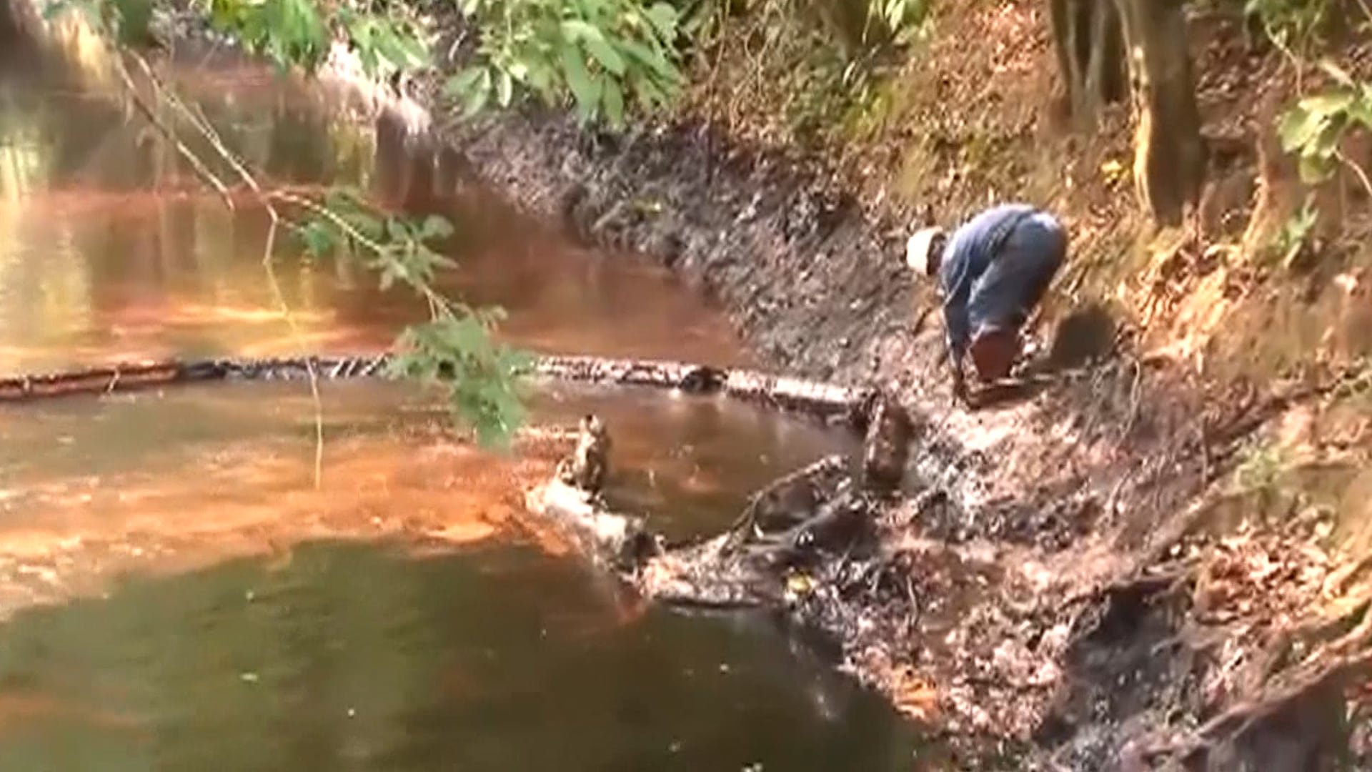 Imagen de referencia - El atentado contra infraestructura petrolera en Tibú obliga a suspender operaciones en Campo Norte y detiene 1.400 barriles diarios de crudo - crédito suministrado a Infobae Colombia
