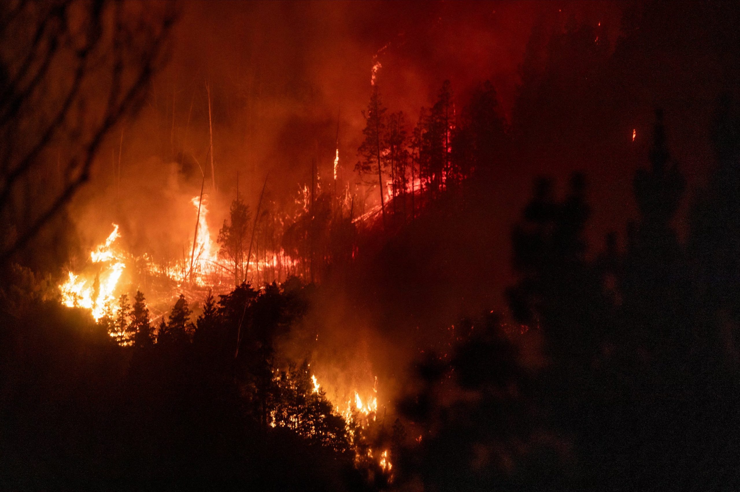 El monitoreo satelital europeo registró en enero de 2026 los niveles más altos de emisiones por incendios en la provincia de Chubut en dos décadas/ REUTERS/Matias Garay/Archivo