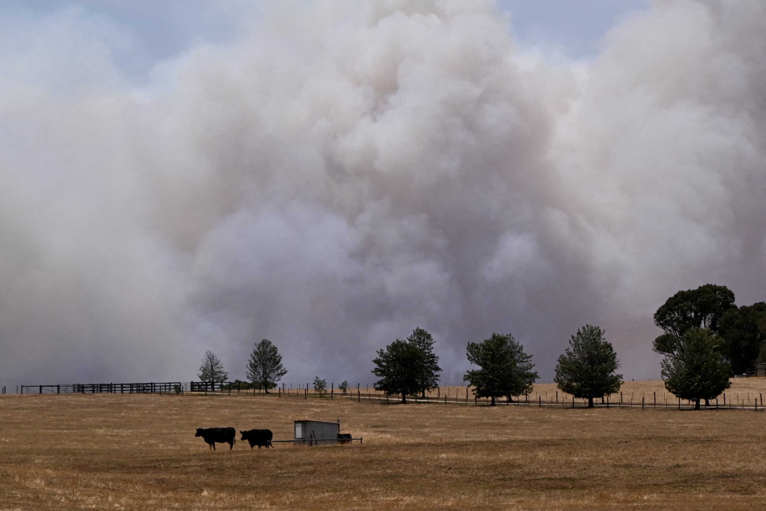 En Australia, los incendios en Victoria destruyeron 900 edificios y 400.000 hectáreas, registrando la peor ola de calor desde 2020./ AAP/Joel Carrett vía REUTERS