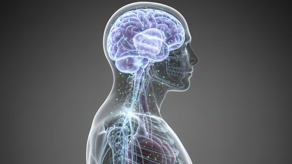 Los investigadores reconocen desafíos pendientes, como determinar los límites de la simulación y los correlatos neuronales exactos de la conciencia humana (Imagen Ilustrativa Infobae)
