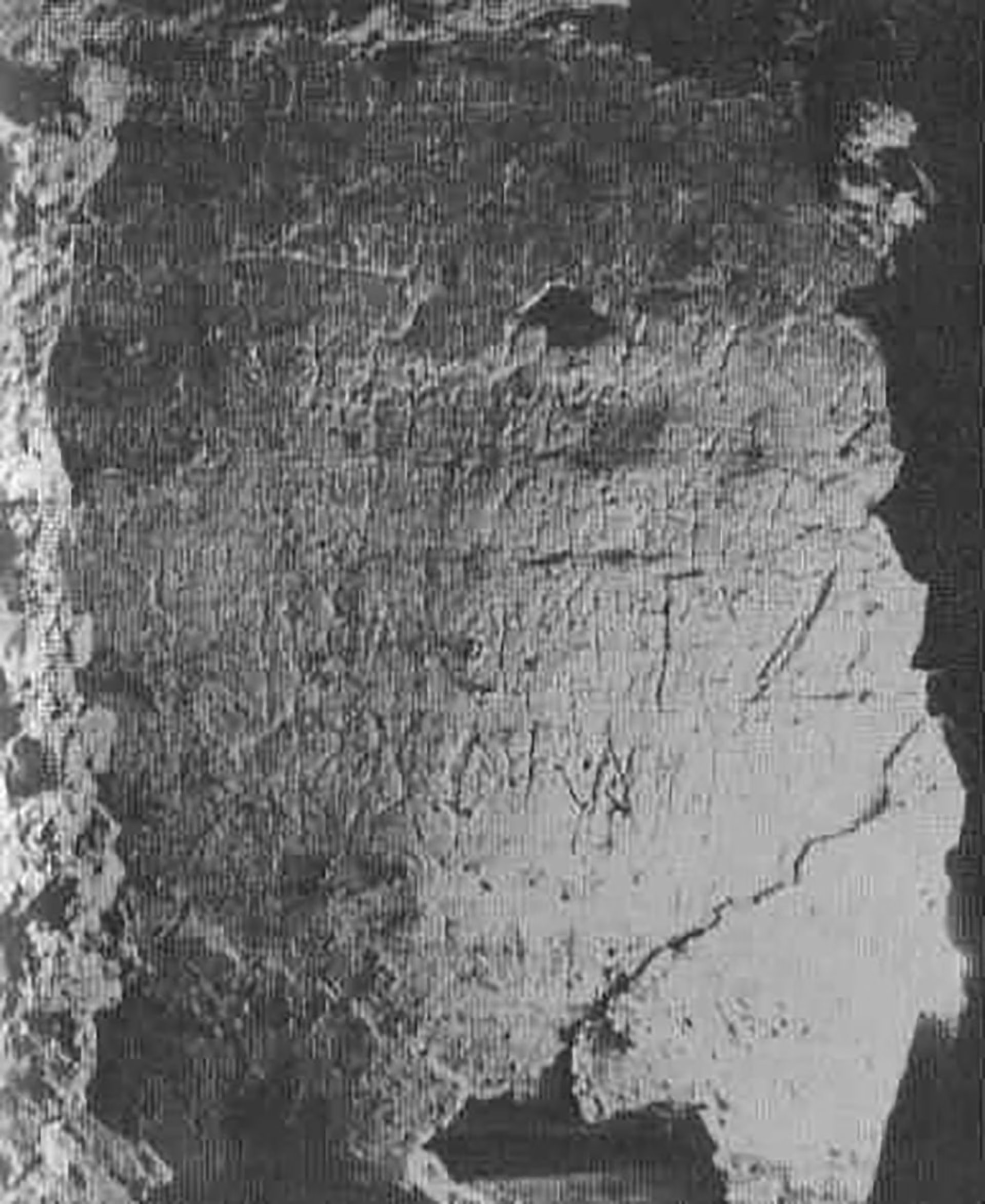 En un fragmento aislado se lee un conocido grafiti fragmentario con el nombre “Petros” y, en la línea sucesiva, en griego, una épsilon, una ni y una iota