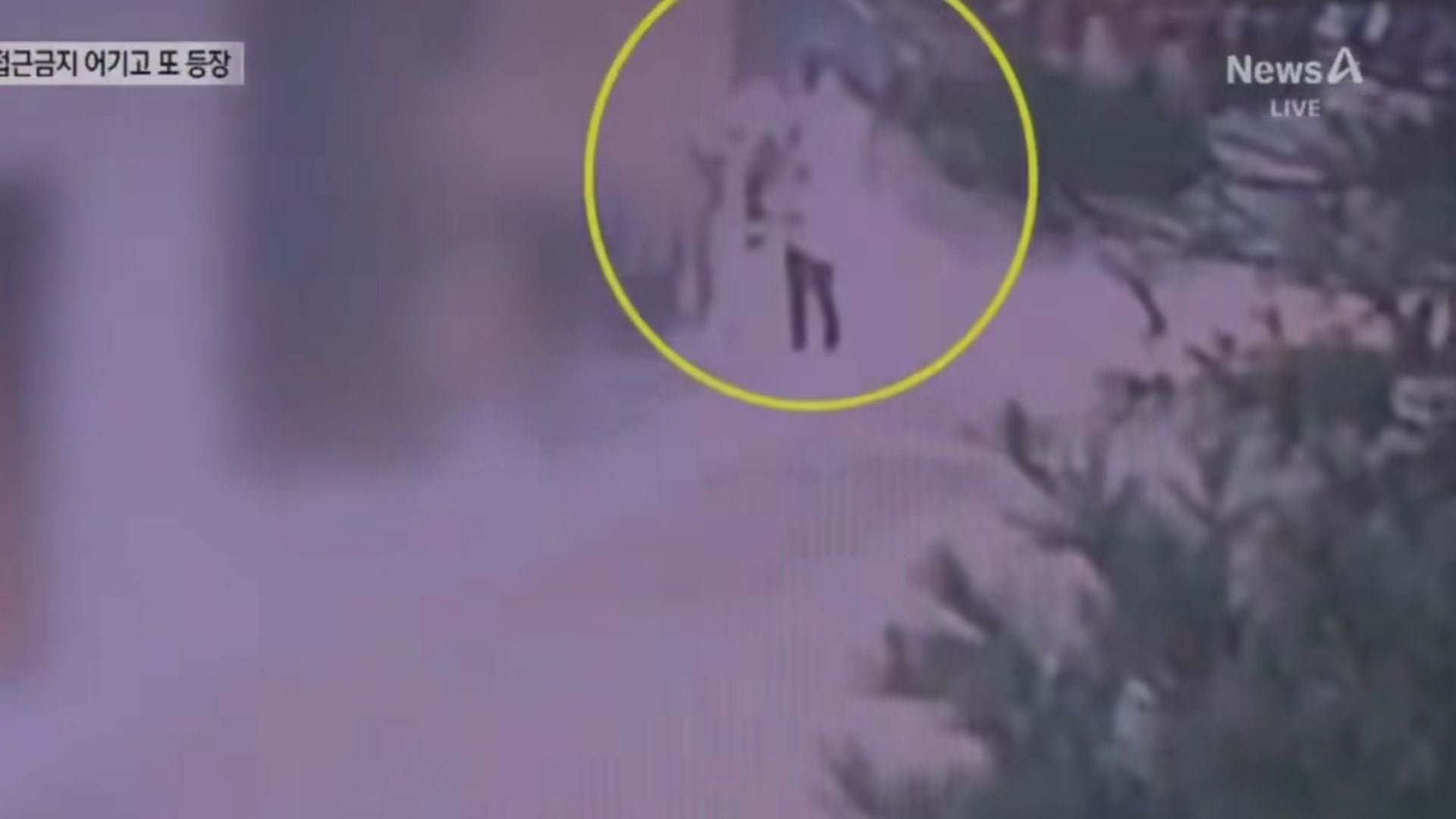 La familia de la joven señaló que padece un trastorno mental y que viajó sola a Seúl sin acceso a su medicación (Captura de video/Channel A)