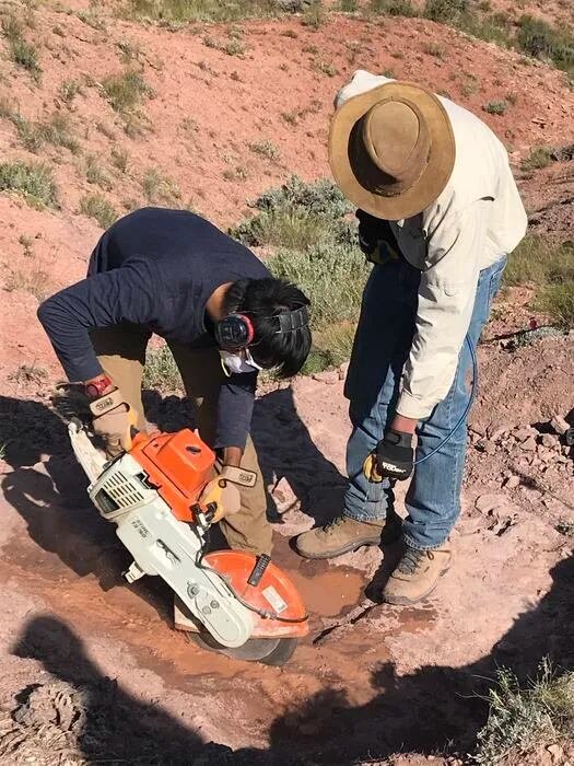 Un fósil hallado en tierras shoshone revela una de las pruebas más antiguas de la estivación en vertebrados y una historia de ciencia construida en diálogo con la memoria y la lengua de una comunidad ancestral