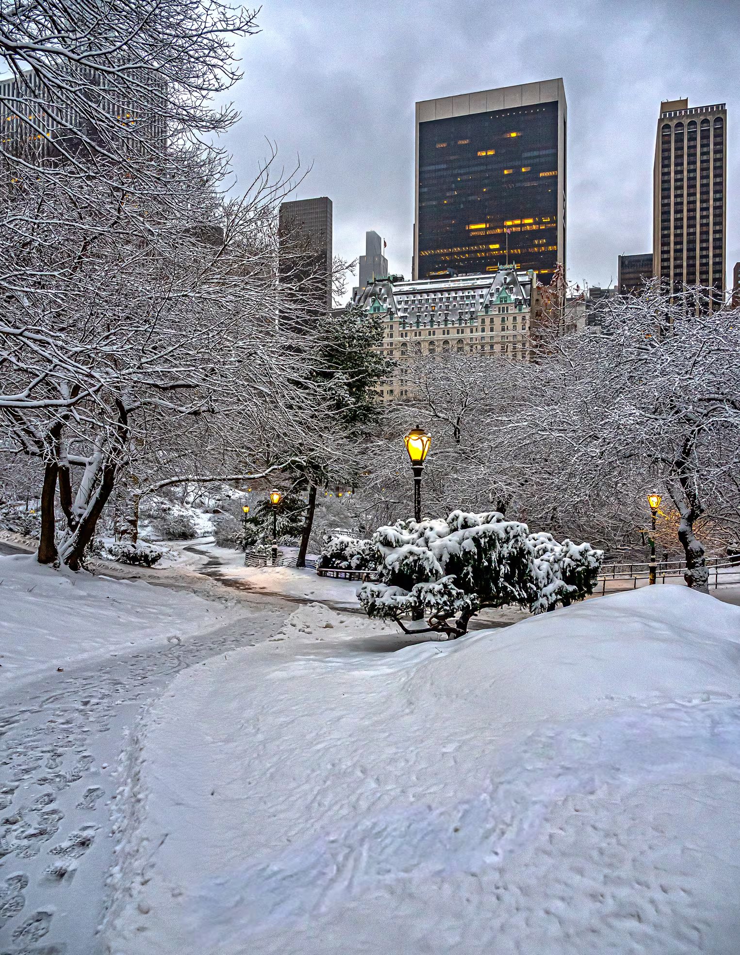 Los senderos nevados y los árboles cubiertos de blanco convierten a Central Park en un escenario de contemplación, mientras los edificios de Midtown se recortan en el horizonte bajo un cielo gris.