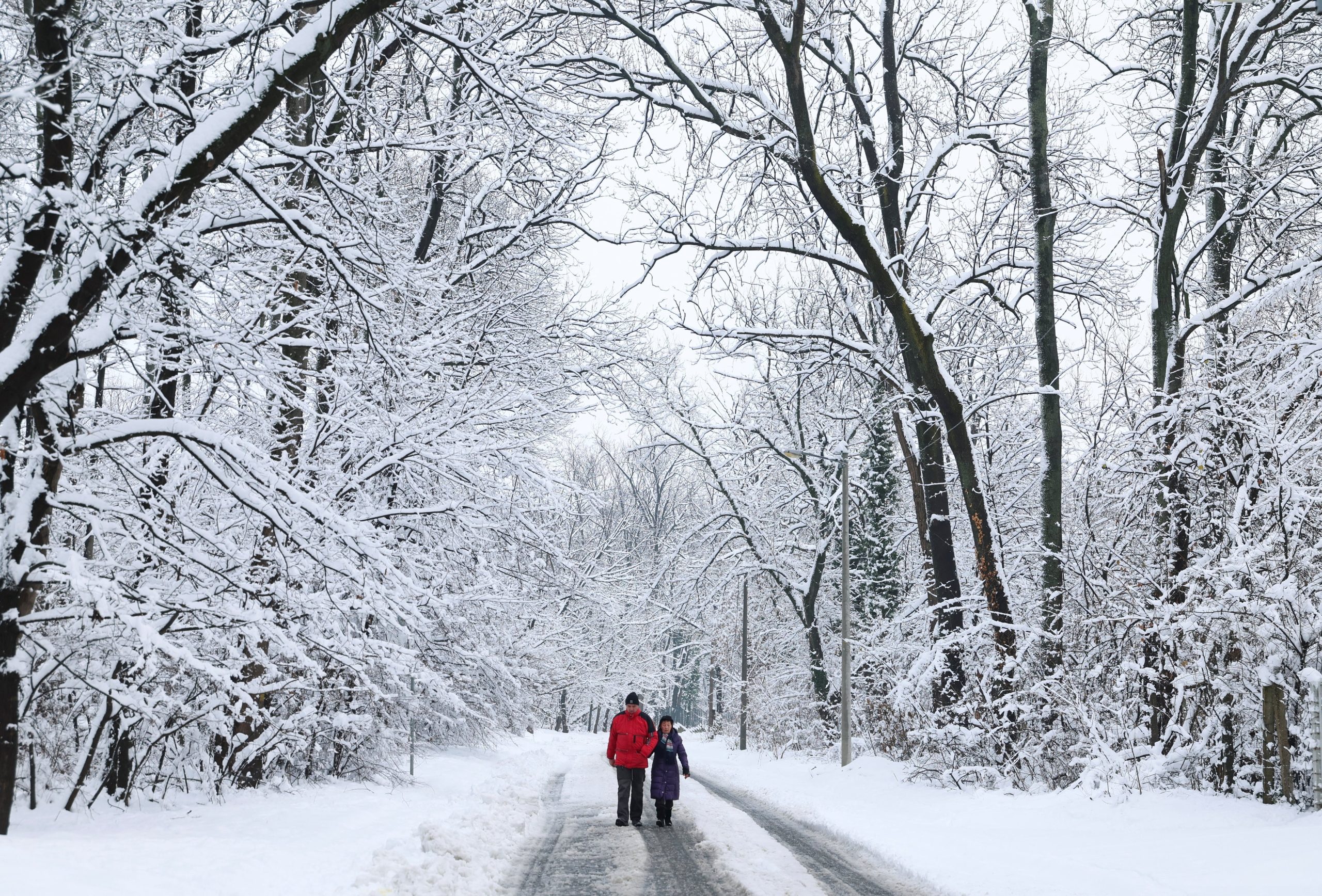 La gente camina por el bosque de Zvezdara cubierto de nieve, en Belgrado, Serbia, el 5 de enero de 2026. REUTERS/Zorana Jevtic